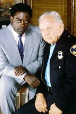 In The Heat Of The Night Carroll O'Connor Howard E. Rollins Jr. 24x36 Poster picture