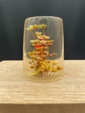 Daisyglas Round Cylinder Lucite Paperweight with Dried Flowers Ladybug Inside picture