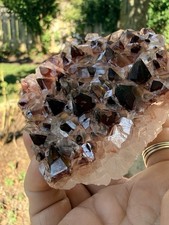 ¾ lb. Calcite, Santa Eulalia, Mexico  picture