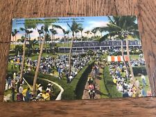 Gulfstream Park Hallandale Hollywood Florida Horse Racing Racetrack Postcard picture