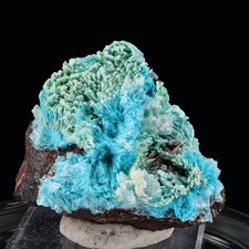 Aurichalcite Crystals | Robinson District, White Pine Co, Nevada - Rare Locale picture