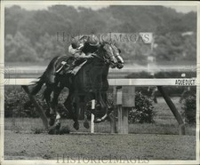 1966 Press Photo 