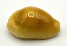 Monetaria moneta 