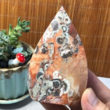 Natural money Mexico agate hand carve leaf Crystal Specimen free standing A6499 picture
