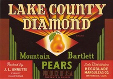 Lot of 200 Lake County Diamond Brand Pear Crate Label's picture