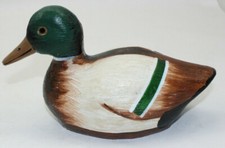 Duck Mallard Female Duck 8