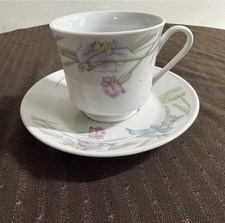 Vintage Floral Porcelain Cup and Saucer Set picture