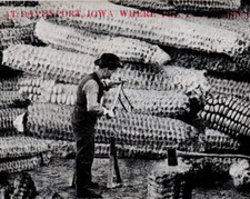 1912, Beating the Coal Trust A S Johnson - At Davenport, Iowa HUGE CORN RPPC picture