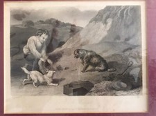 Terrier vintage print Original picture