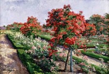Wonderful Oil painting Olga Wisinger-Florian nice spring flowers landscape field picture