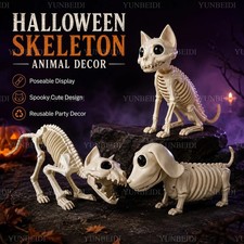 New Halloween Cat Dog Skeleton Models, Horror Ghost House Decorations, Fast Ship picture