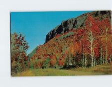 Postcard Mount McKay at Fort William, Canada picture