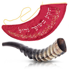 HalleluYAH Blesbok Horn Shofar 8