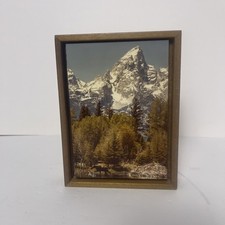 Under The Willow Photo Gallery ABI Mountain Scene VTG Signed & Framed Photo picture