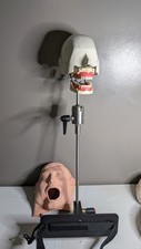 VTG Columbia Dentoform Dental Phantom Head Display W/ Stand - Metal Shroud (#12) picture