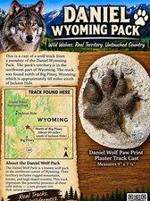 Wolf Paw Print Plaster Track Cast Plaque Wolves Daniel Wyoming Wolf Pack picture