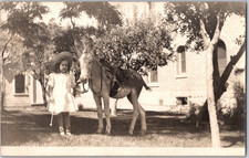 Vintage c1915 RPPC Postcard ~ Little Girl with Donkey ~ Real Photo Unposted picture