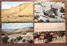 LOT 4 VTG PC POST CARDS~WY YELLOWSTONE~JACKSON HOLE~MULE DEER~ELK~CATTLE DRIVE picture