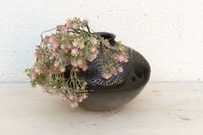 Engraved Black Clay Mata Ortiz Olla picture