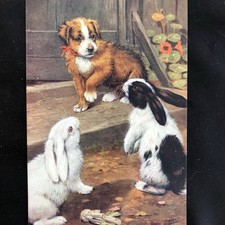 Vintage Collectable Tuck’s Oilette Dog & Rabbit Postcard 1909 - Unused picture