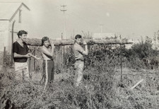 Handsome Guys is Carrying Log Affectionate Young Men Gay Int Vintage Photo USSR picture