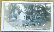 Vintage RPPC Bee's Present Home Farmhouse Chickens Farm Yard AZO 1910s Photo picture