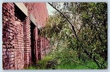 c1960 Fort Livingston Louisiana Postcard Off Grand Isle Constructed 18th Century picture