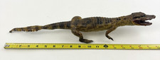 Vtg Taxidermy Full Body Real Juvenile Standing Alligator Crocodile Specimen 17