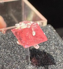 Sweet Home Rhodochrosite crystal Hedgehog Pocket    Alma, Colorado picture
