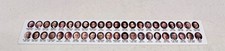 NEW PRESIDENTS OF THE UNITED STATES 12