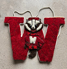 Wisconsin Badgers Pile Carpet Wall Hanging Pennant Red 
