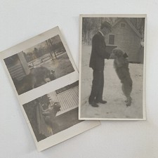 Antique RPPC Real Photograph Postcard Pair (2) Bearded Collie Dog Dancing W/ Man picture