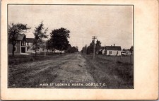 Main Street Looking North Dorset Ohio Litho Early 1900s Dirt Road Town View picture