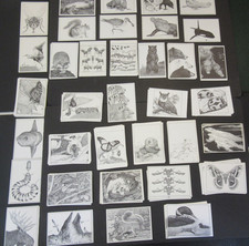 Vintage Diana Dee Tyler Animal Insect Postcards mixed lot of 126 picture