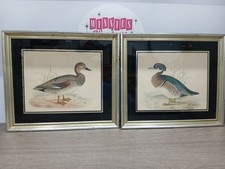 Vintage Framed Wildfowl Art Gadwall & Wood Duck picture