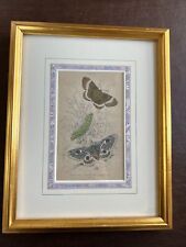1800’s Lizars Professinally Framed Hand painted Engraving of Moths Collectible picture