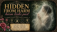 🛡️ Harder to Reach When Harm Is Looking ~ Hidden From Harm picture
