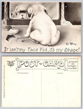 Pug Dog Mirror Reflection It's My Shape Comic Colby Postcard picture