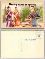 Viewing Points Interest Garden Fountain Postcard picture