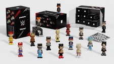 2026 WWE VOL. 1 GHOSTWRITE (All 16 base figures @ 100%) OWN THE COLLECTION picture