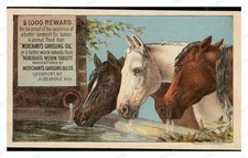 Le Roy New York 1880s Horse Heads Advertising Card Standard Postcard picture