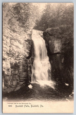 Bushkill Falls Pennsylvania Vintage Postcard picture