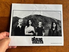 Darling Violetta Indie Music Group Rare Vintage 8x10 Press Photo # 1 picture