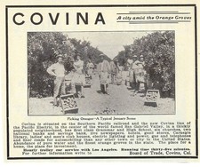 1907 Antique Magazine Ad, Covina, California. A city amid the Orange Groves picture