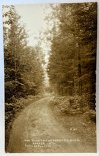 RPPC The RoadForest Primeval Sayner Wisconsin WI Vintage Real Photo Postcard picture