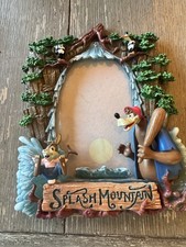Disneyland Splash Mountain 3D Picture Frame Brer Rabbit Bear (Read Details ) picture