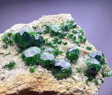 139 GR. Top Green Demantoid Garnet Crystals Bunch On Matrix - IRN picture