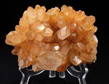 Museum GradeMesmerizing Yellow Gem Quartz Tibet Tibetan Quartz‘Flower’-ONLY 1 picture