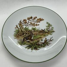 Vintage Bareuther Waldsassen 254 7-3/4” Salad Plate Wild Rabbits Green Border B1 picture