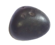 Natural Laddu Gopal Shaligram Shila Stone Gandaki River 100 Gram Black picture
